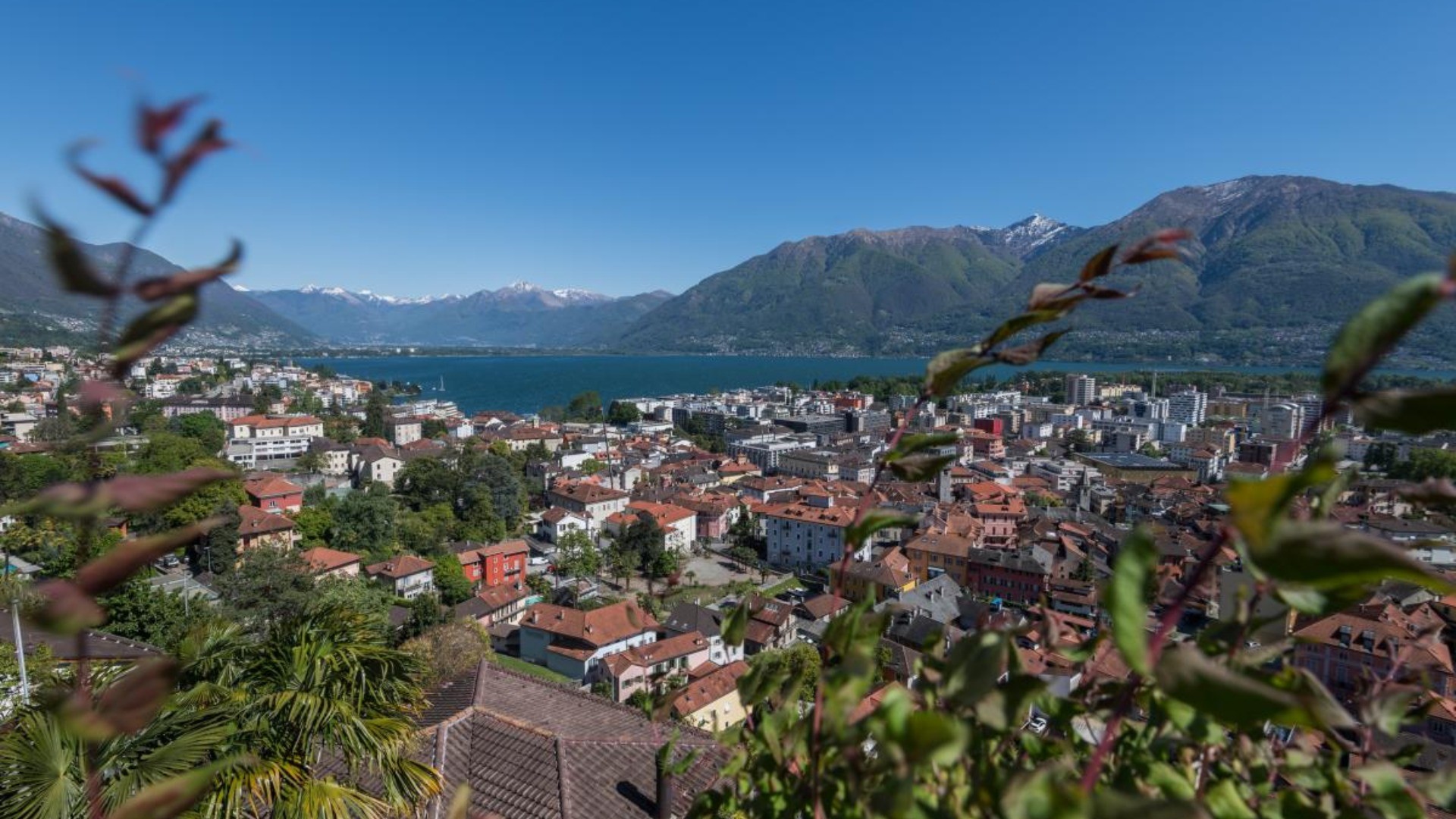 Al via la progettazione del Museo cantonale di storia naturale