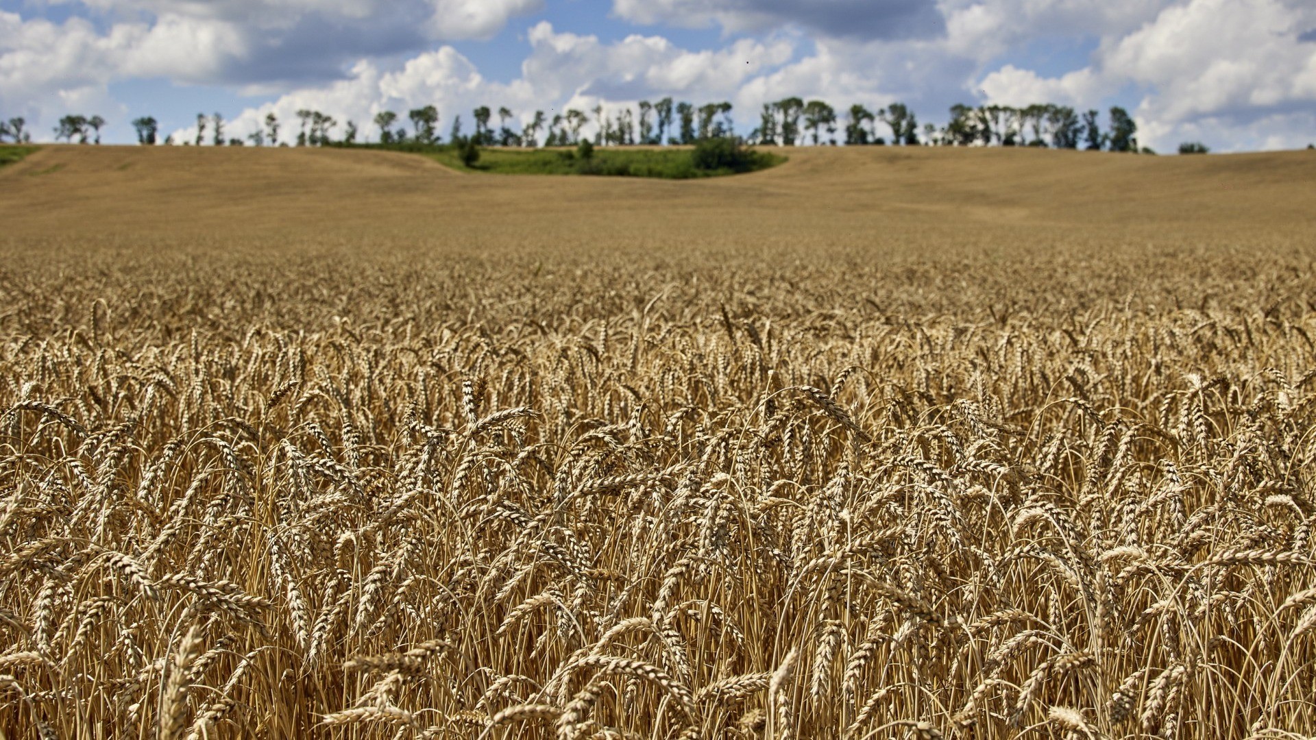 Delegazioni ucraine e russe a Istanbul: si discute di grano — Segui il live