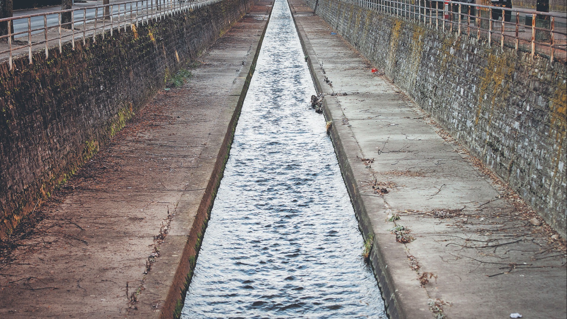 Seconda vita per il Faloppia: sarà fruibile e più «naturale»