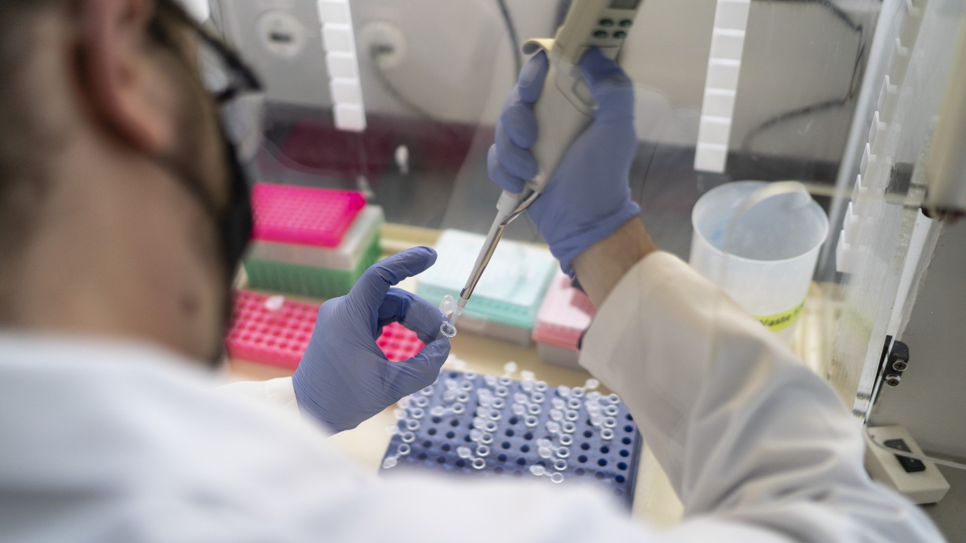 Vaiolo scimmie: superati i 500 casi in Svizzera