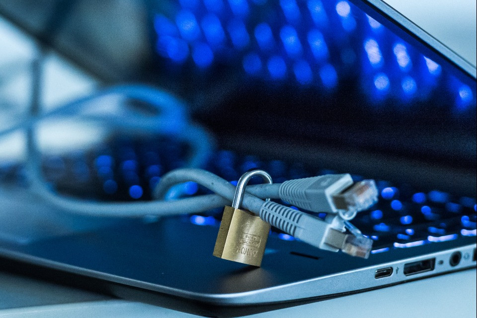 Mosche Trota Secca Sedge, Confezione Da 24 Alci, Cervi, Marroni - Foto 6