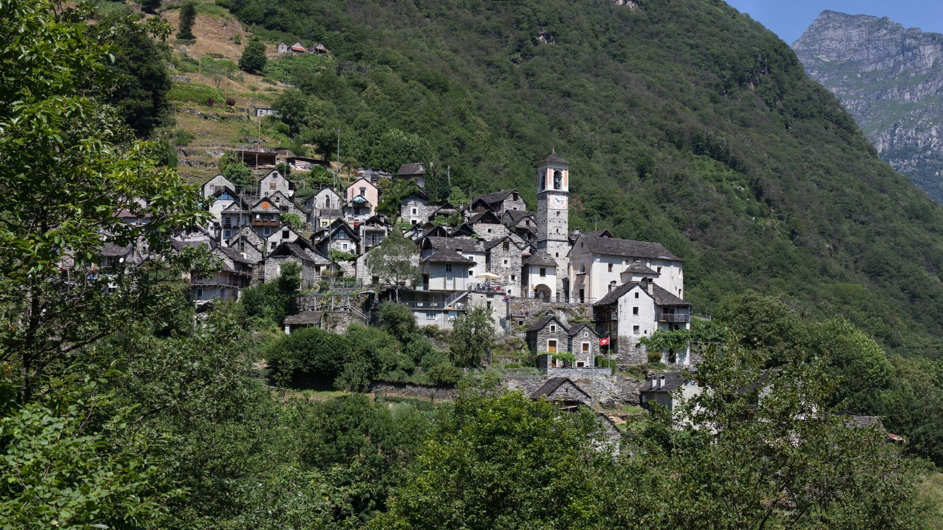 Corippo
