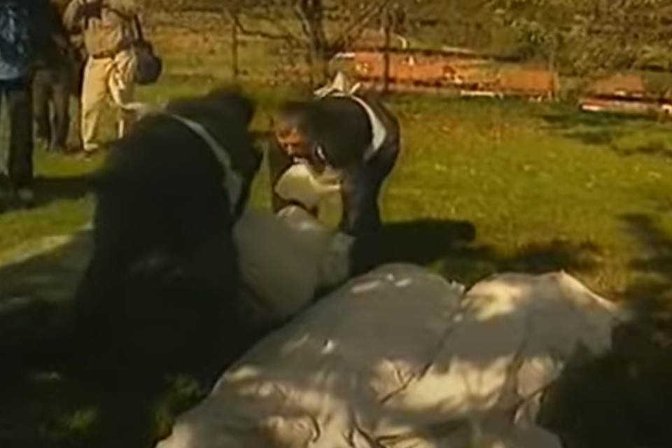 Ordine del tempio solare, 29 anni dalla strage