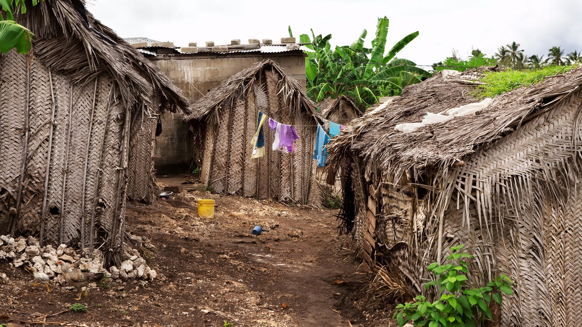 28,5 milioni per i Paesi in via di sviluppo