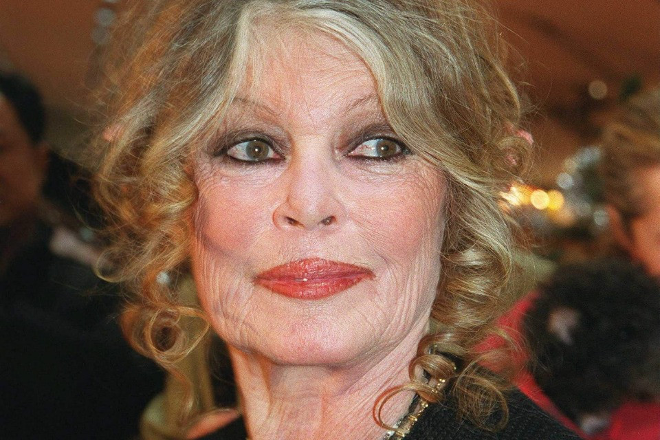 Brigitte Bardot sfida Albert Rösti: «No al massacro dei lupi»
