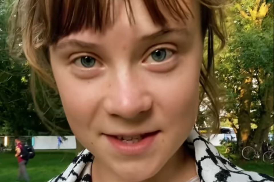 Greta Thunberg (e gli altri) ci riprova: la «Freedom Flotilla» verso Gaza
