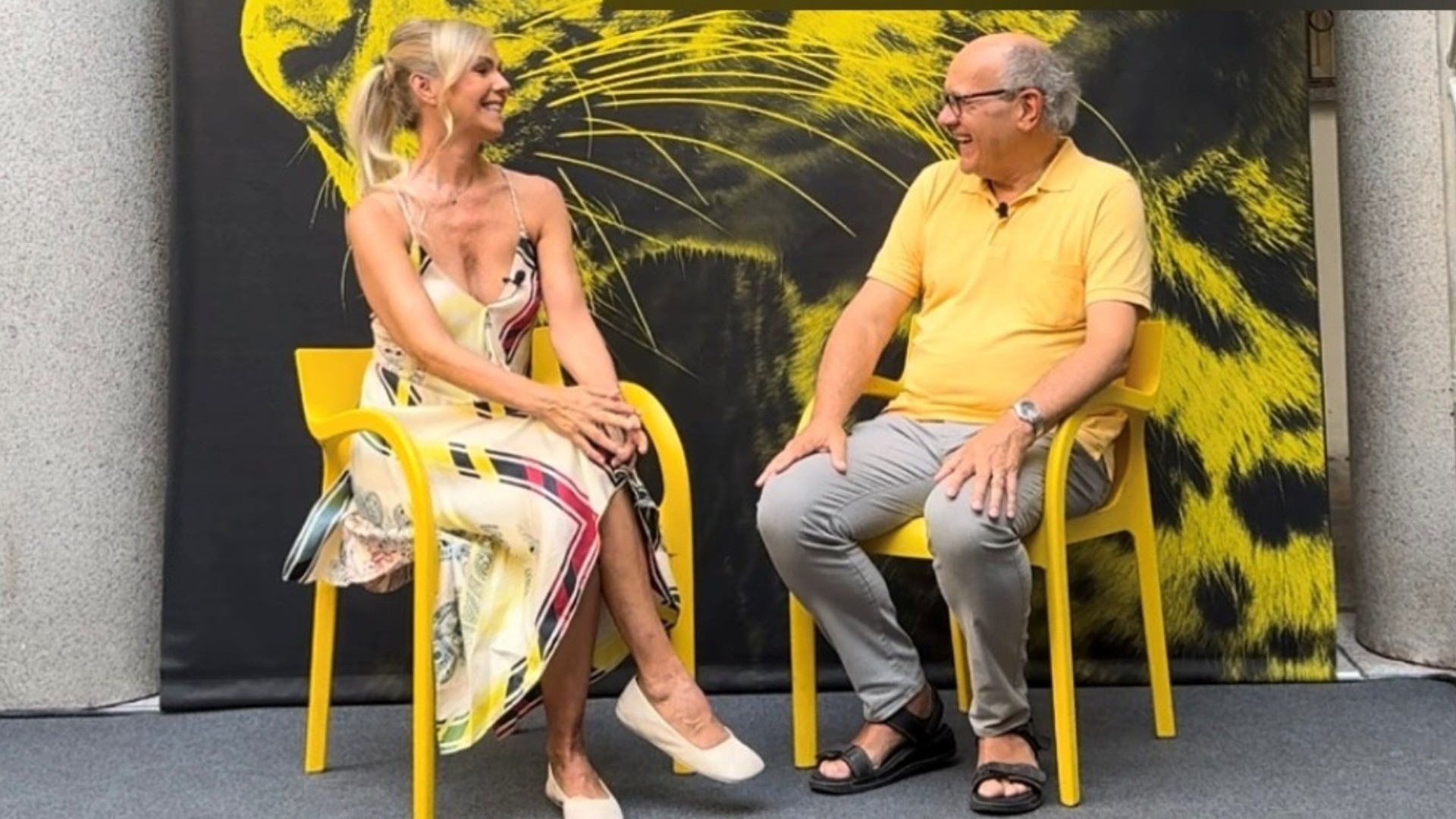 Pardo quotidiano, giorno 11