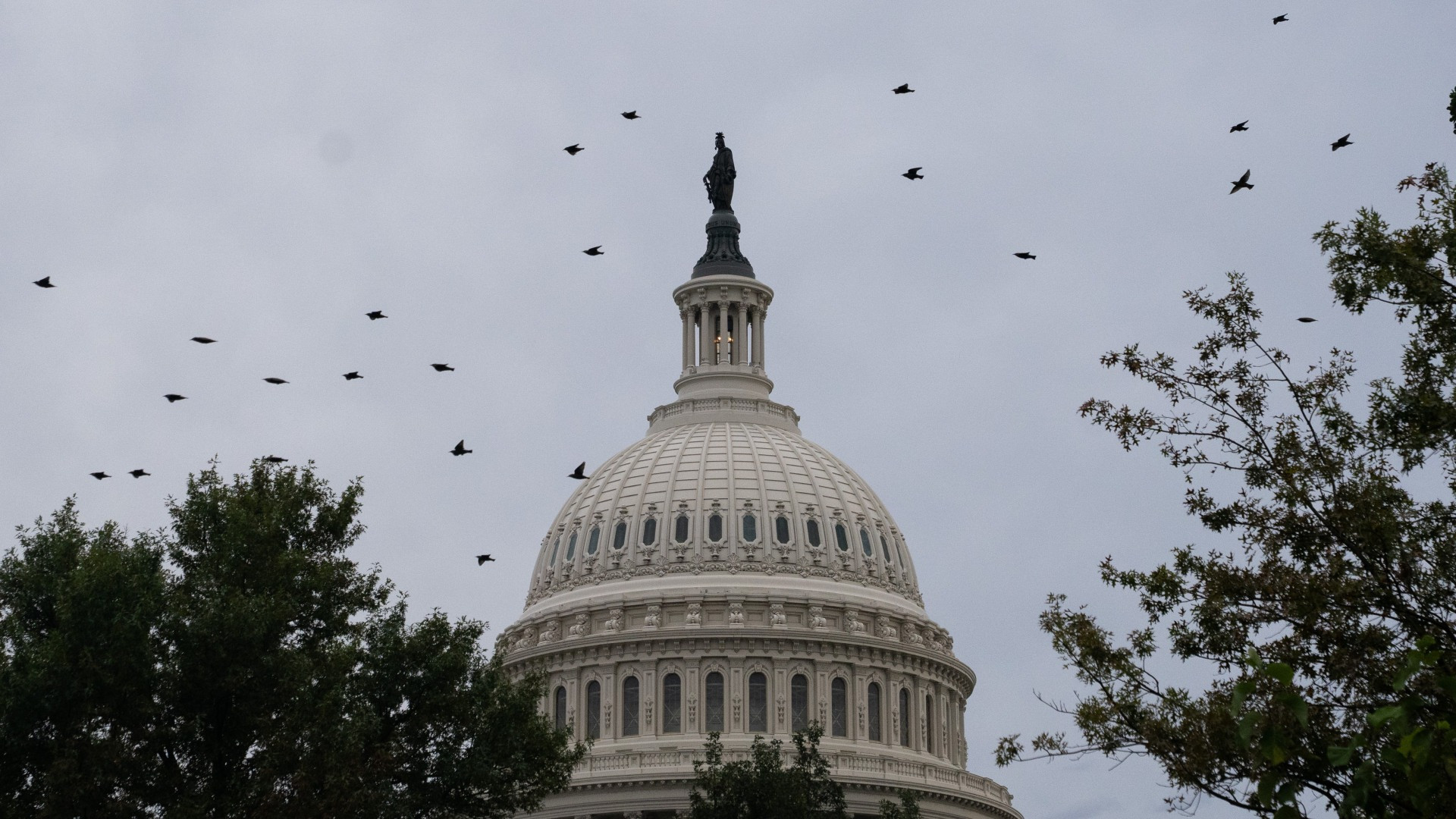 Stati Uniti, che cosa è lo shutdown?