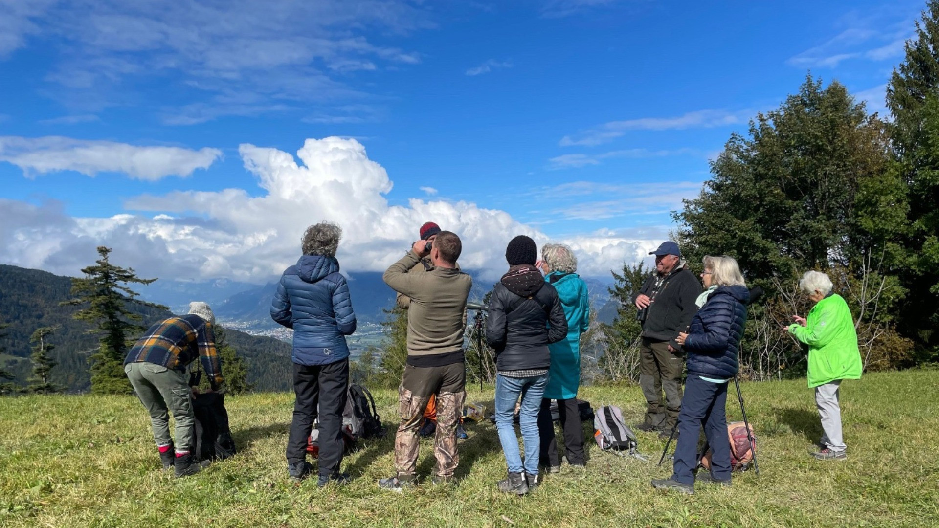EuroBirdwatch, grandi stormi di uccelli e specie rare