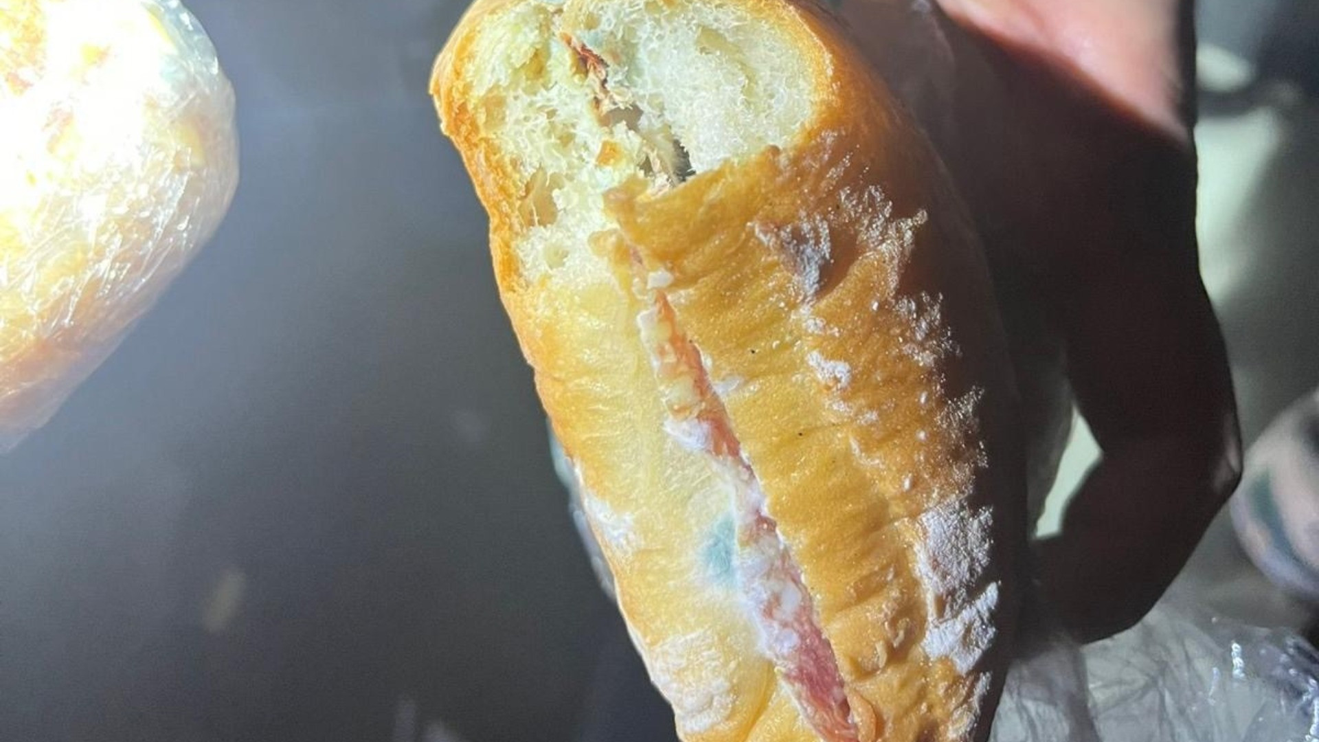 «Lugano-Zurigo: agli agenti di Polizia sono stati dati panini ammuffiti?»