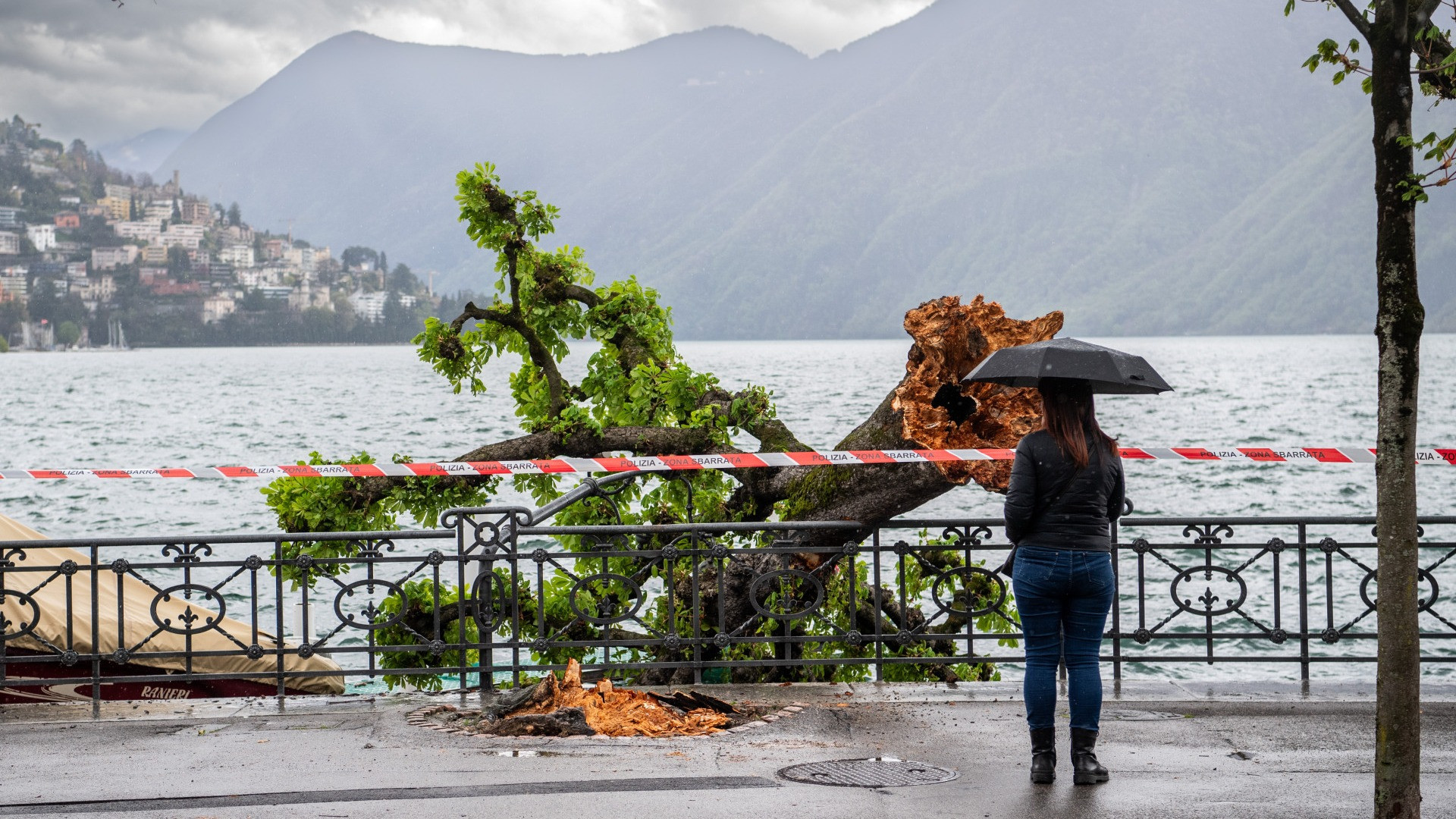 Cambiamenti climatici: «La politica è di fronte a scelte precise»