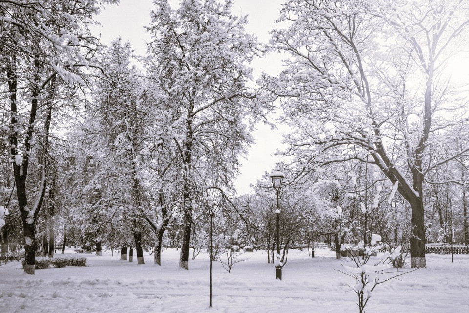 Disagi in tutta l'Europa per le abbondanti nevicate