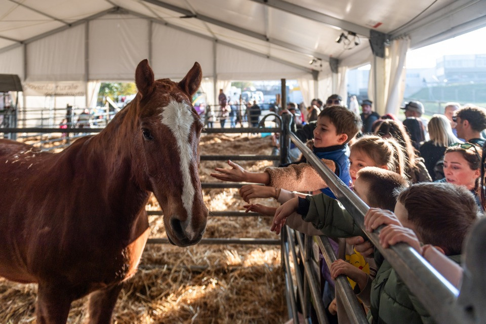 Sì, è sempre estate con San Martino
