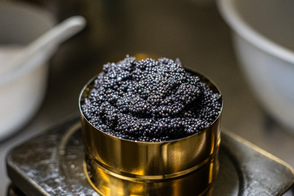 Il miglior caviale al mondo è svizzero: trionfo di Oona ai World Caviar Awards di Monaco