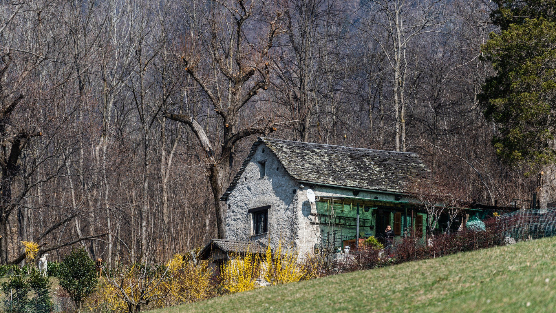 Aggiornamento in vista per i rustici ticinesi