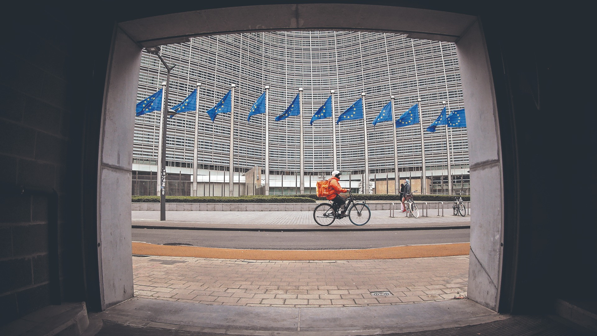 «In questa UE il principio della democrazia diretta è negato»