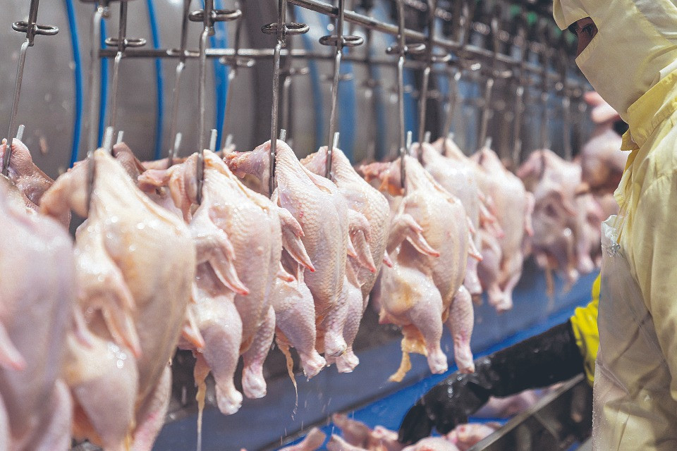 Nel menu a Palazzo federale ci sarà presto il pollo al cloro