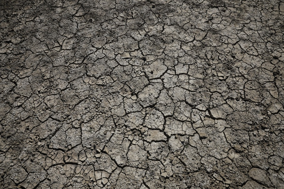 Le politiche di Trump potrebbero causare 1,3 milioni di morti in più per il clima