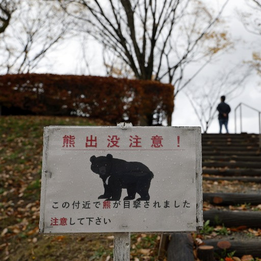 «L'emergenza orsi» in Giappone non è ancora terminata