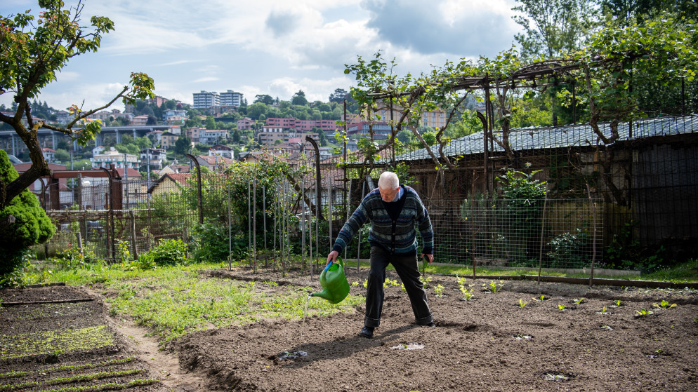 Al lavoro nell'orto del condominio di via Favre (foto Cdt)