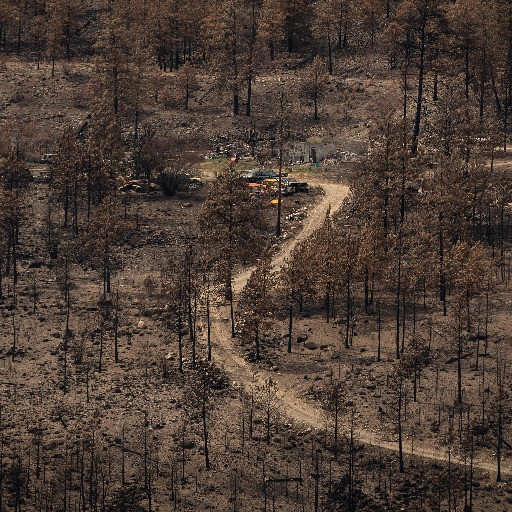In Canada preoccupano gli «incendi zombie»