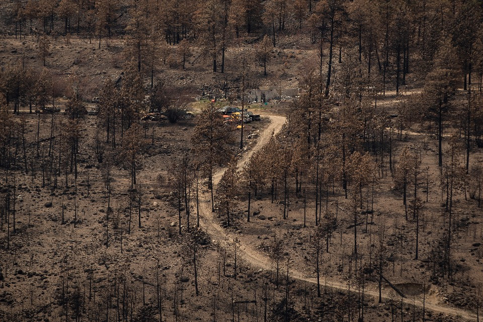 In Canada preoccupano gli «incendi zombie»
