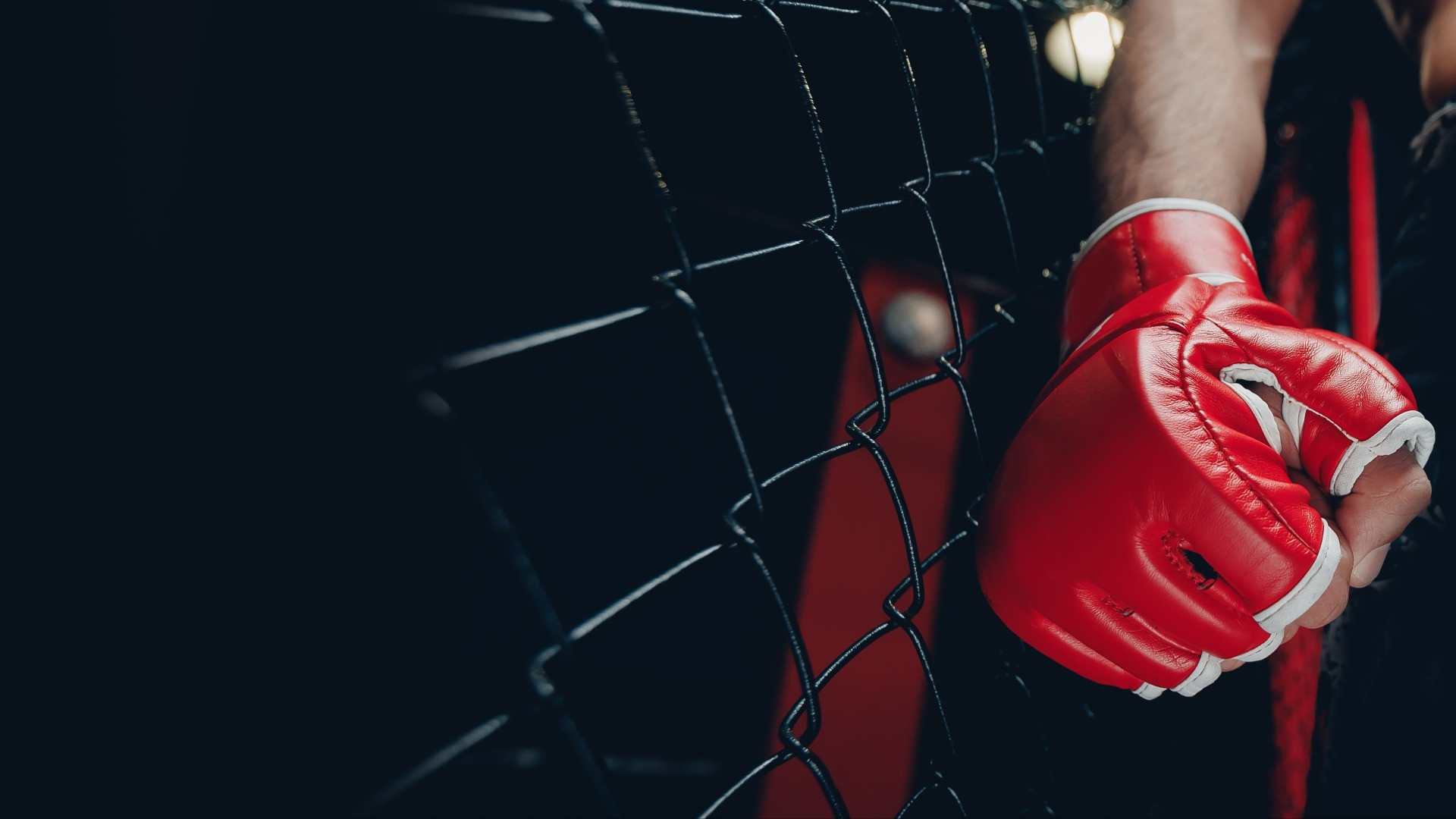 Lugano in the Cage: l’ottava edizione raccontata dal suo «papà», Maurizio Niceta