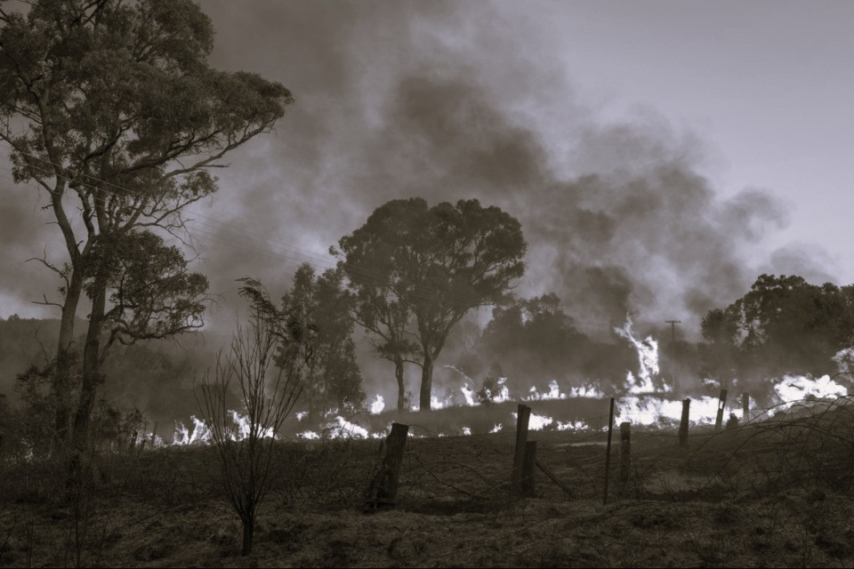 Mari di fiamme in Australia, almeno 50 anni per riparare i danni