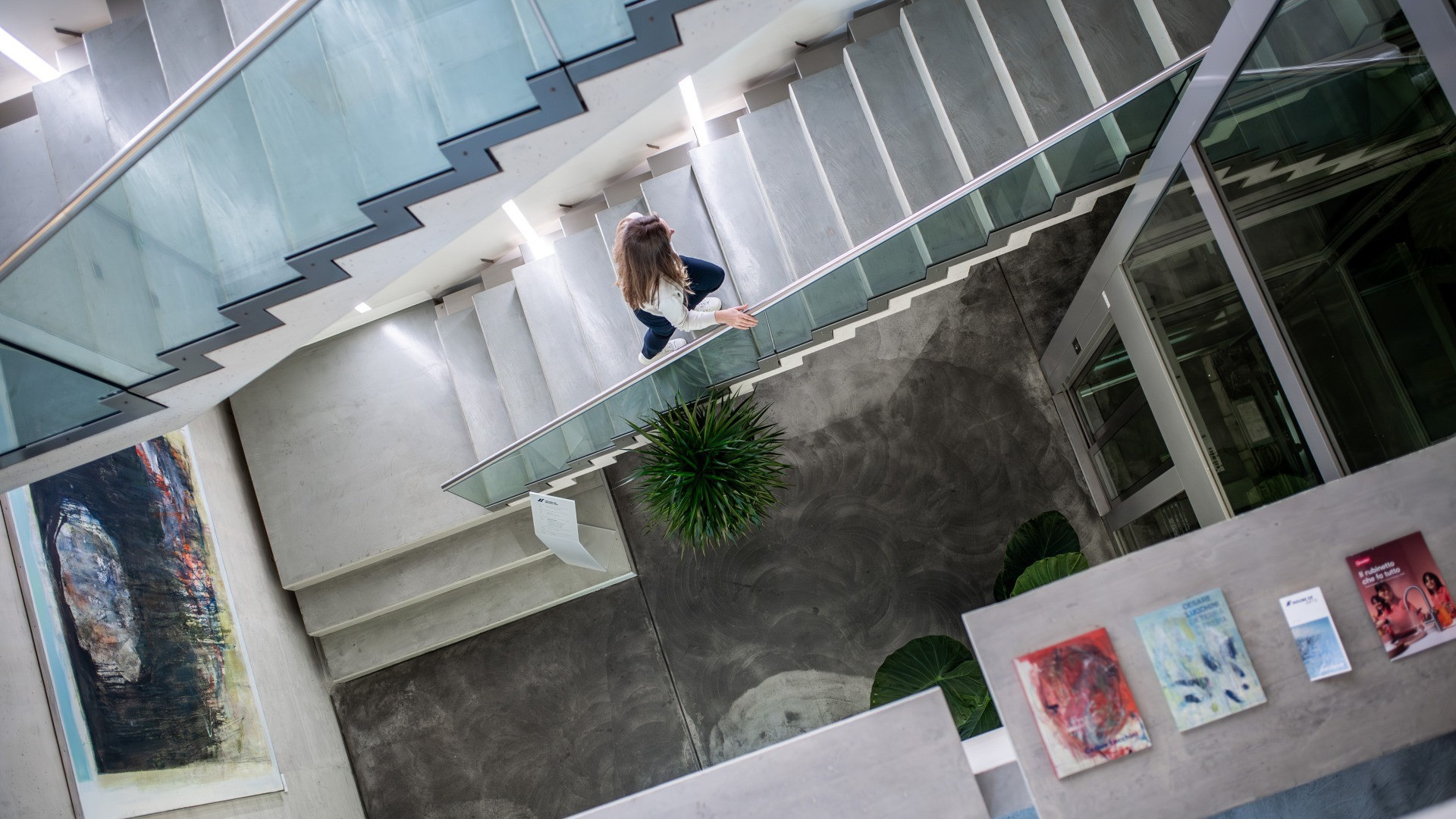 Cosa c'è nel «salotto buono» di Lugano