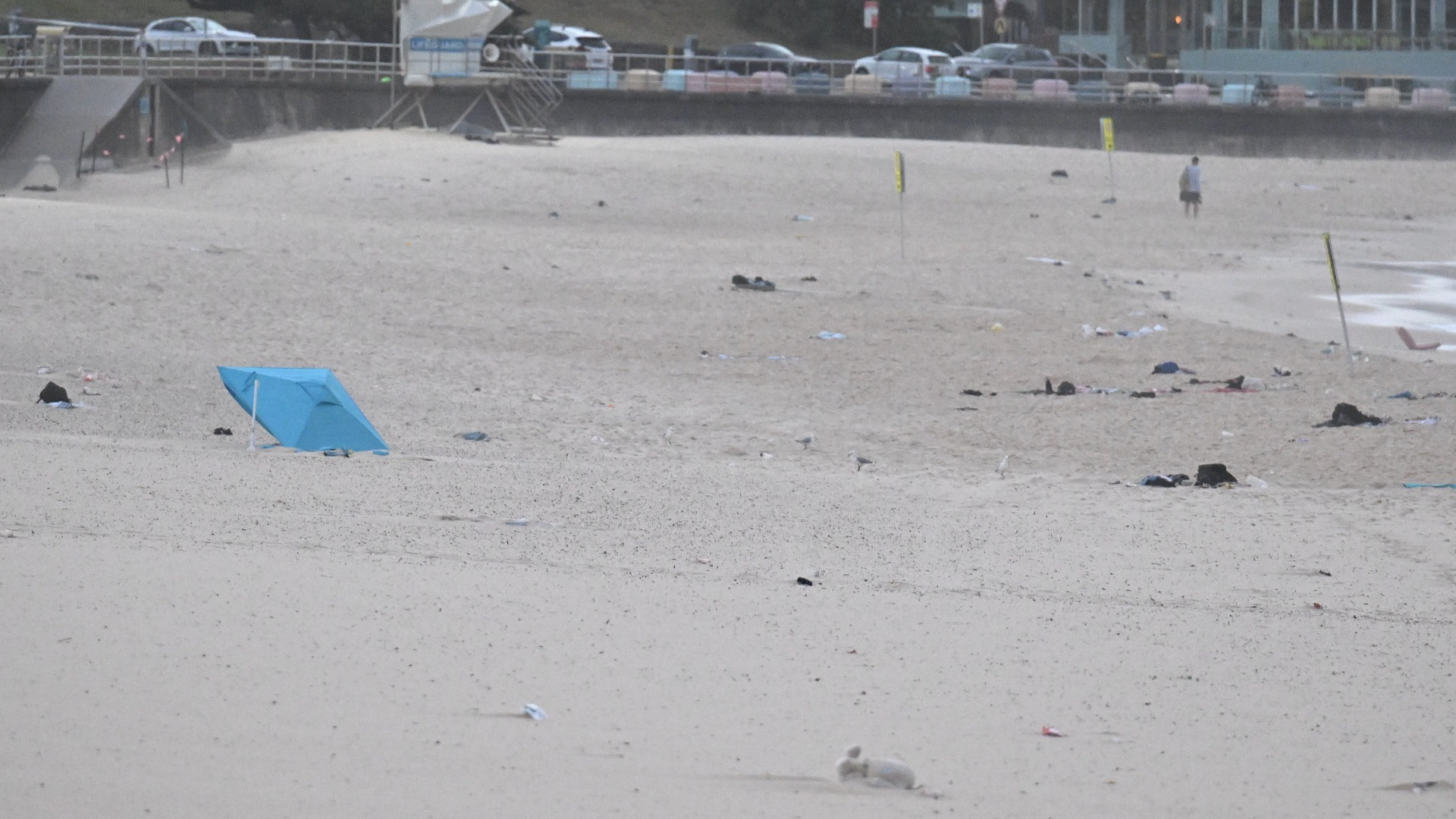 Salgono a 16 le vittime della sparatoria a Sydney