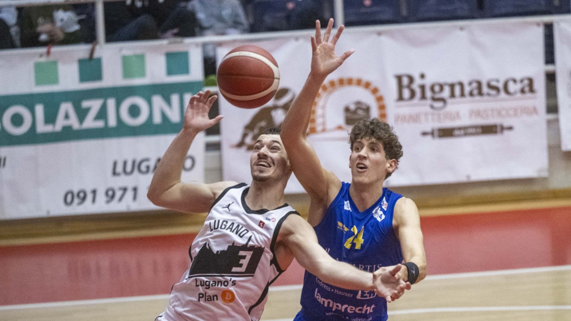 SAM contro Tigers, il derby da ex di Ivan Tanackovic