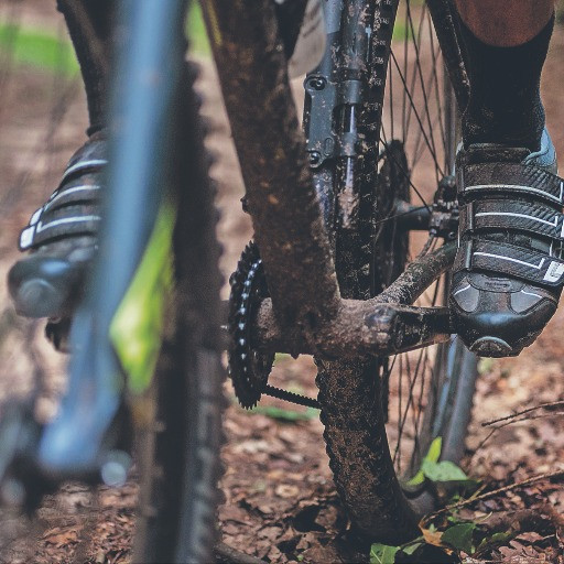 Il turismo monta in sella tra mountain bike e cavalli