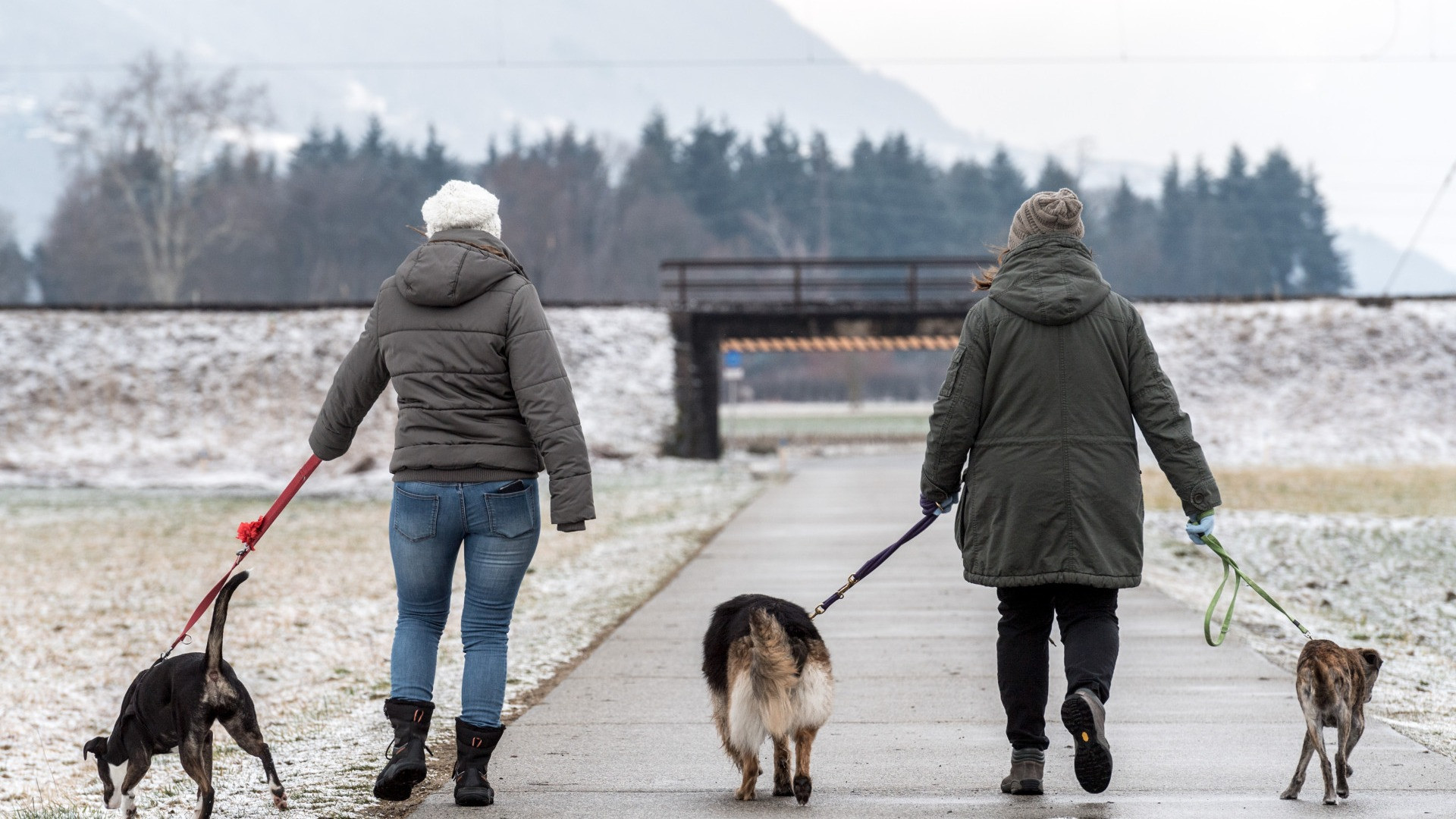 «Netto balzo verso il basso» per il termometro a fine anno