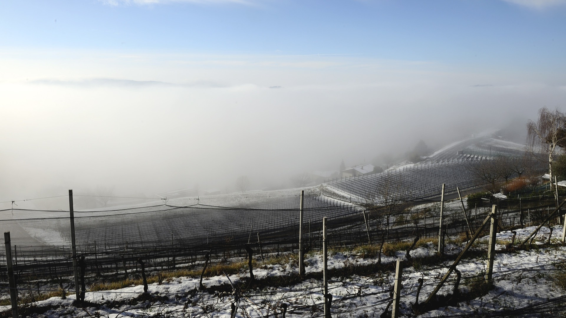 La nebbia si fa sempre più rara in Svizzera