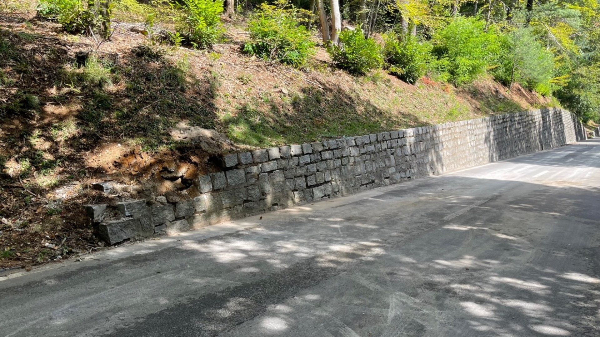 «Un fatto tragico e ingiusto, dovremmo stare tutti in silenzio»