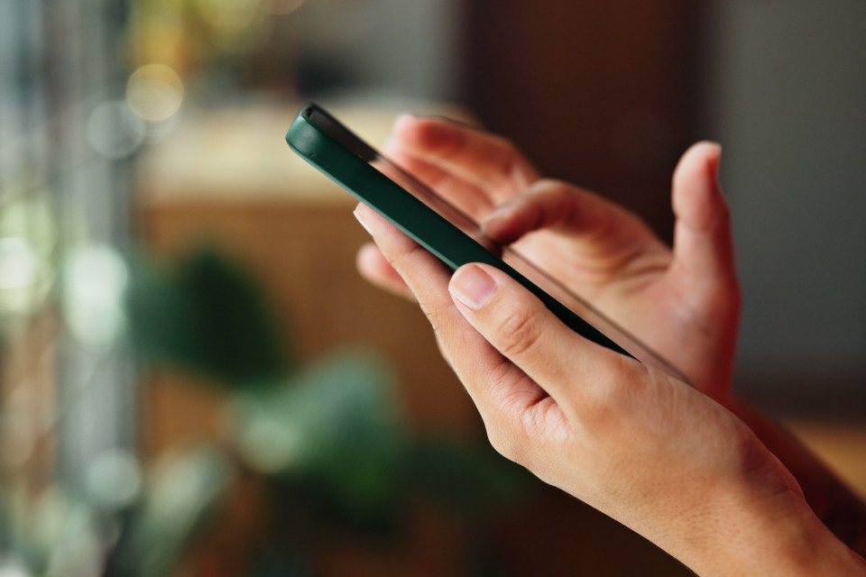 Numeri telefono e domini internet svizzeri vanno meglio protetti