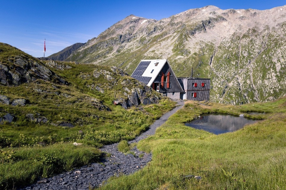 Quel dramma senza fine: omicidio colposo e abbandono