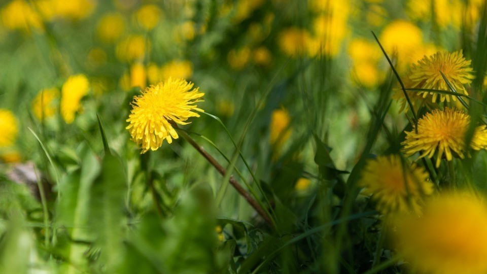 Fondo ad hoc per il clima? Il Governo: «Sovradimensionato e dannoso per le finanze»