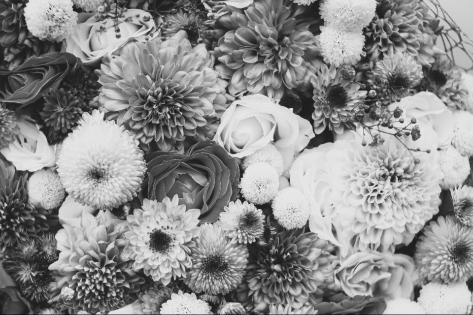 Tra pièce teatrali e mostre di pollicultura e fioricultura