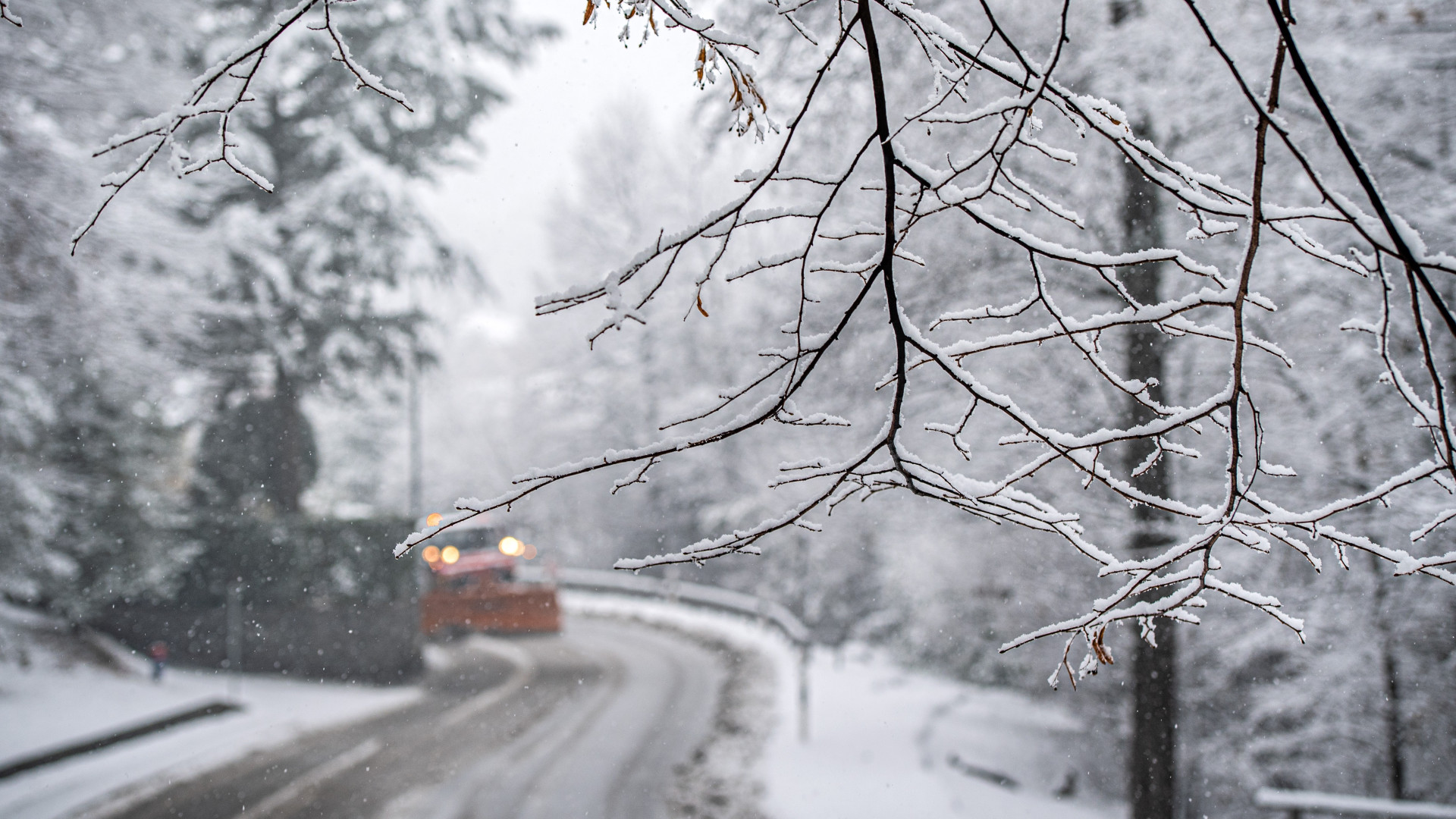 Nevicate in arrivo in Ticino: scatta l’allerta di livello 3 sopra i 600 metri