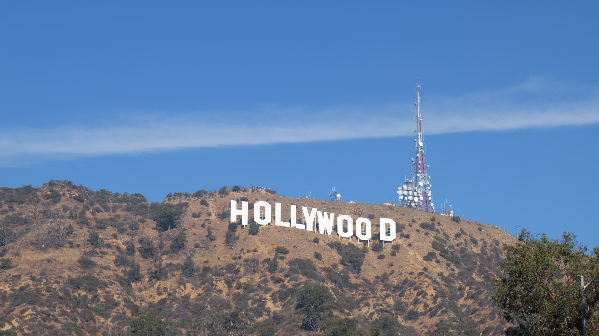 Hollywood, al via i negoziati tra sindacati e Studios dopo lo sciopero