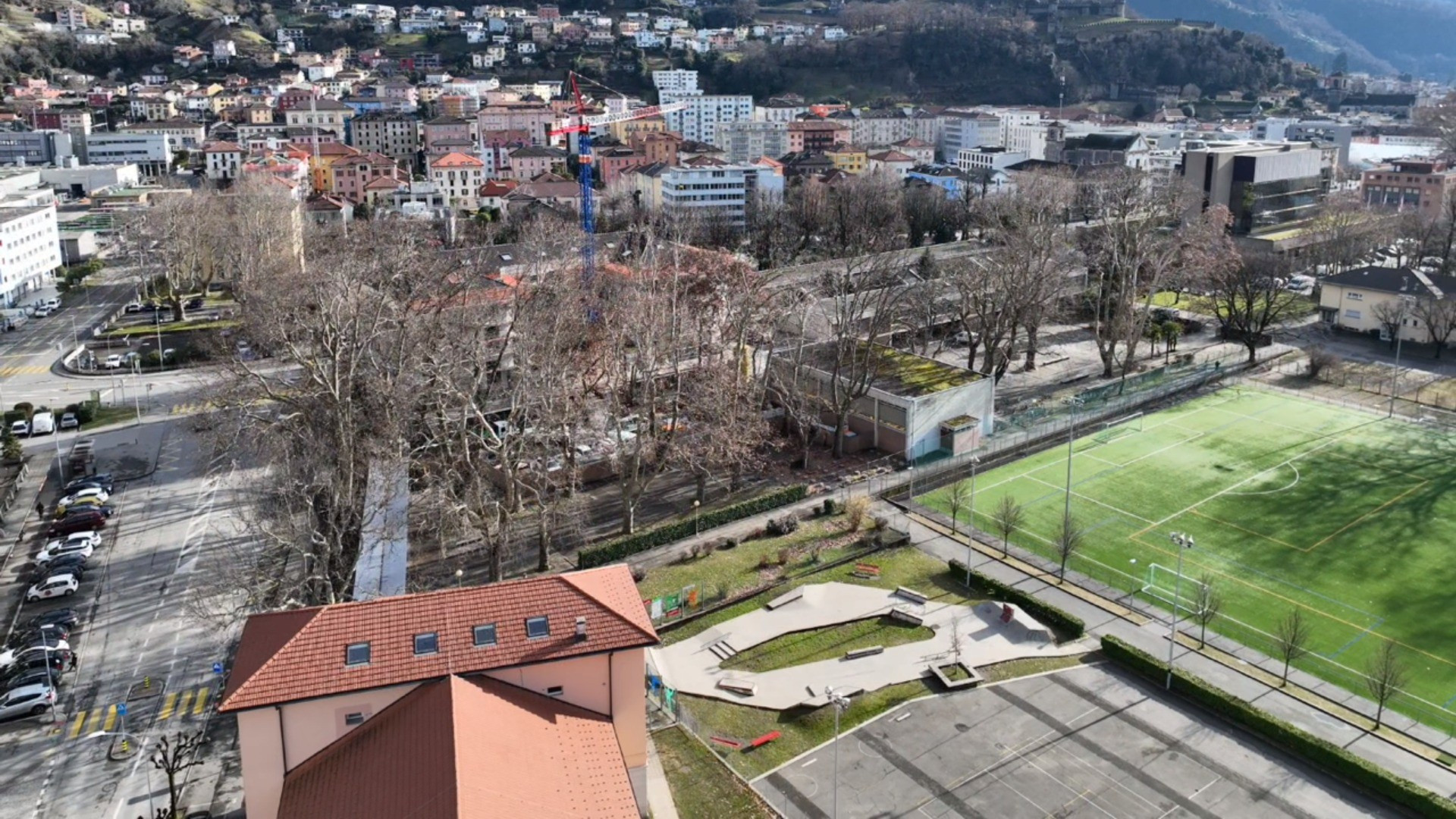 Quei platani da tagliare, «la decisione va sospesa»