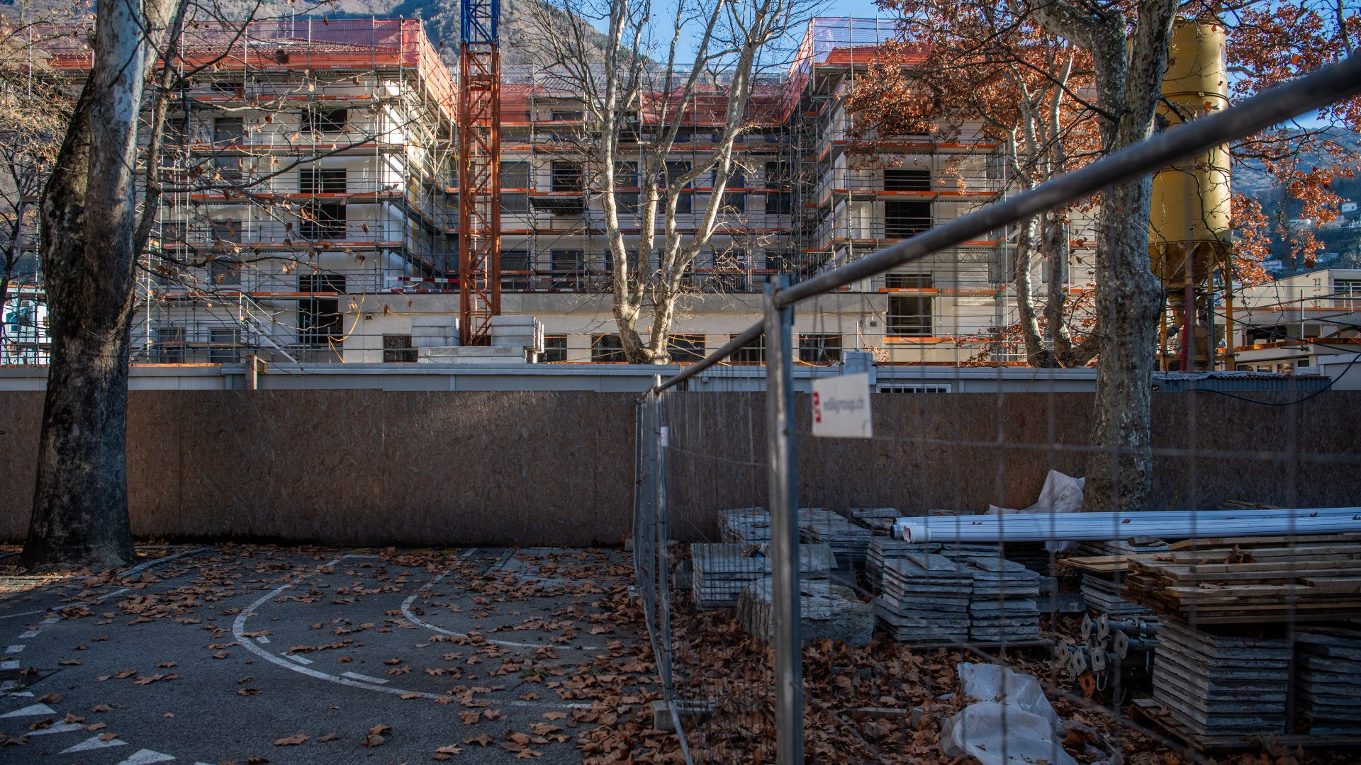 Monta la polemica sul taglio dei platani delle Scuole Nord: «Tempistiche sospette»