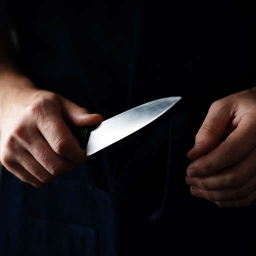 Pianificava un attentato in nome dell'ISIS: promossa l'accusa contro un 18enne