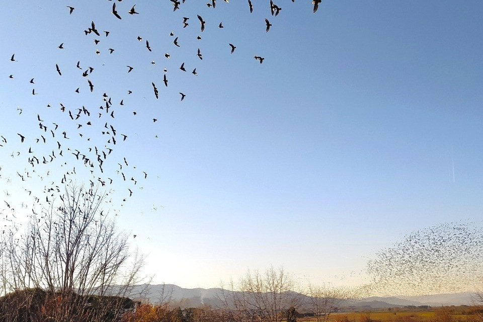 Ecco il radar di ultima generazione per i voli migratori