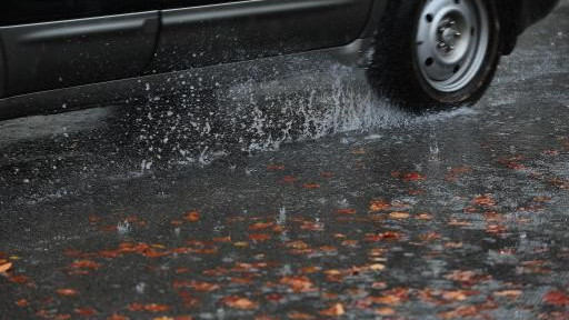 A rischio i riali Fossato e Daro, in arrivo interventi forestali