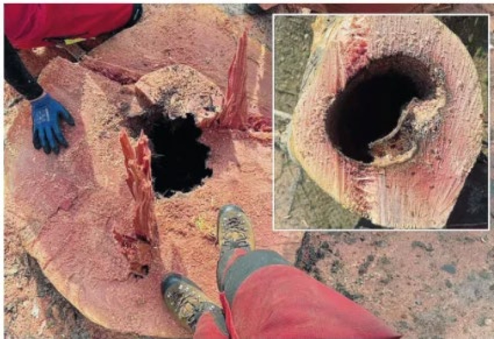 La foto portata in Municipio.