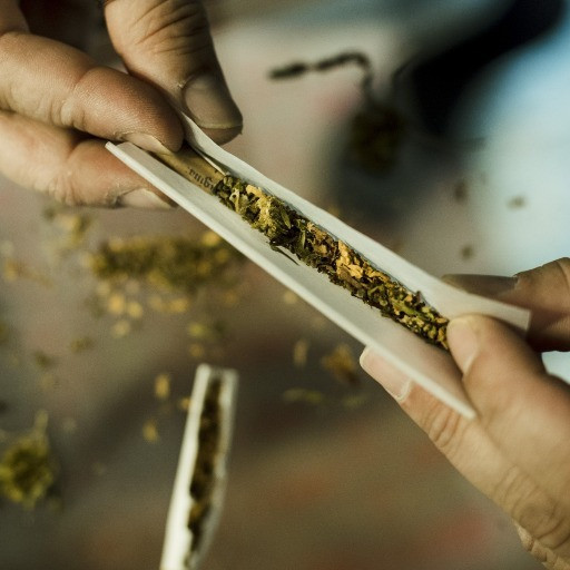 A Ginevra si consuma più cannabis rispetto ad Amsterdam