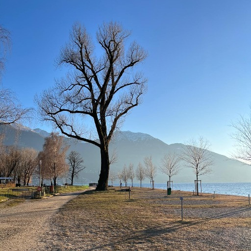 «Rive libere tutto l'anno»: i Giovani Verdi lanciano la mobilitazione