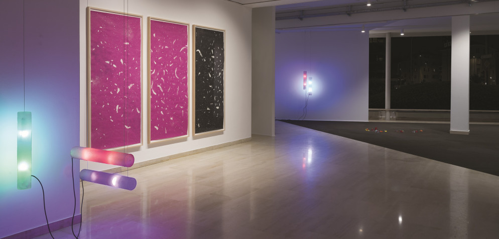 photo credits Daniele De Lonti, Vincenzo Miranda